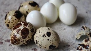 Как очистить перепелиные яйца?