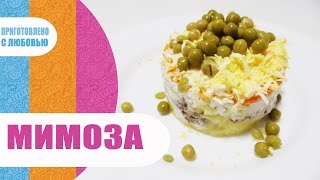 Салат Мимоза Очень Вкусный и простой Рецепт / MIMOSA SALAD