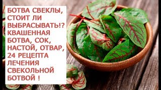 Ботва свеклы, стоит ли выбрасывать Квашенная ботва свеклы, сок, настой, отвар, целебные свойства нап