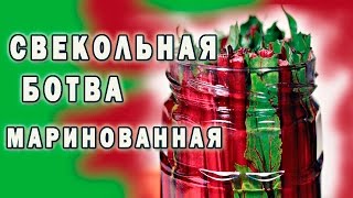 ♨ Свекольная ботва маринованная ♨