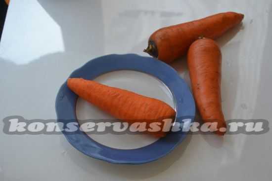 Салат на зиму из моркови и перца и лука на зиму рецепты с фото