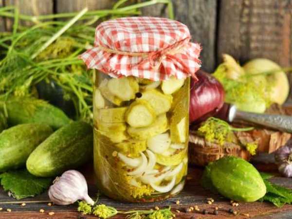 Салат на зиму из огурцов с луком пошагово с фото самый вкусный рецепт на зиму